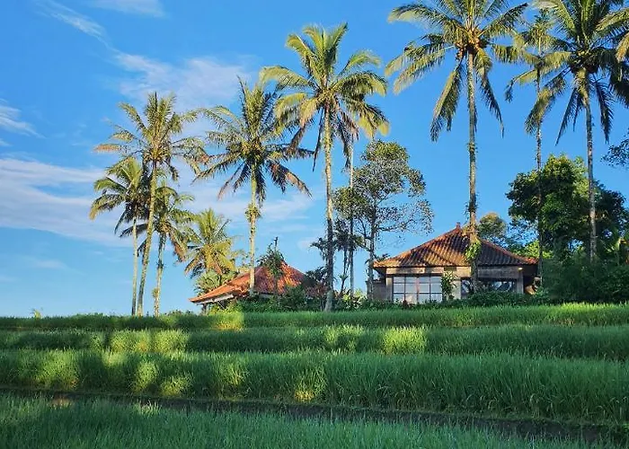 Sava Eco Retreat Resort