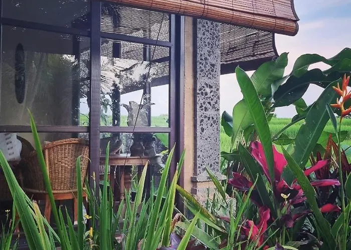 Sava Eco Retreat Resort Padangan (Bali)