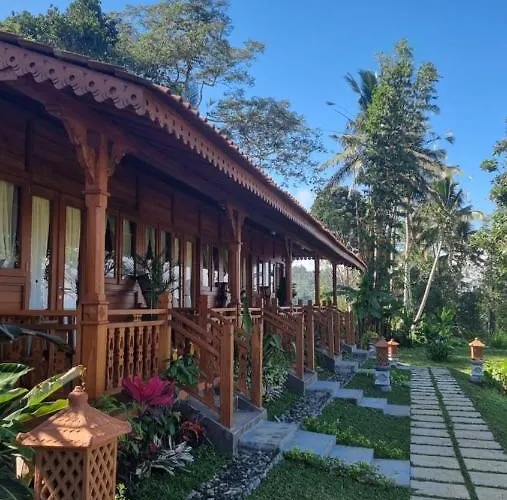 Sava Eco Retreat * Padangan (Bali)
