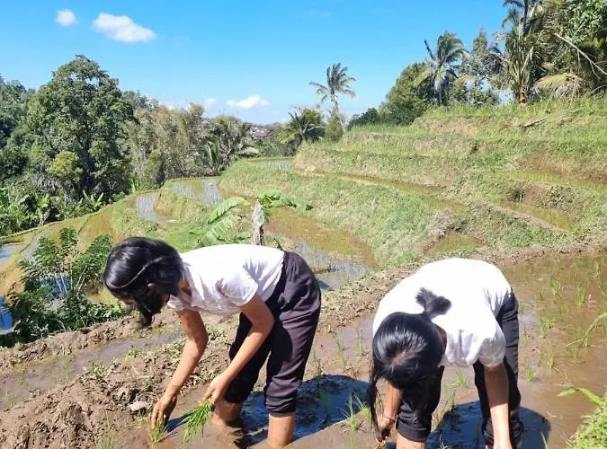 Sava Eco Retreat Resort Padangan (Bali)