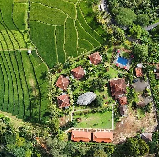 Sava Eco Retreat *